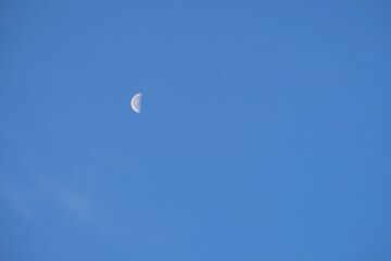 Half moon hanging on blue sky