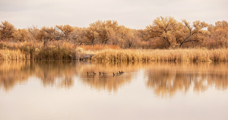 Fall Scenic in New Mexico