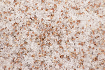 Brine shrimp - Artemia ready mix live food. Ready mix of artemia larvae eggs, salt and microalgae. Macro close up photography