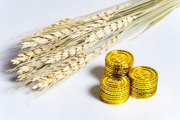 【経済】小麦の価格　先物
