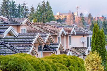Neighbourhood of luxury houses with street road, big trees and nice landscape