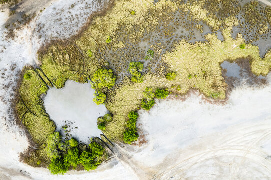 Drone Overhead Of Vegetation On Salt Flats