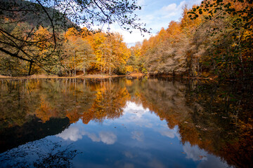 Autumn season landscapes in Yedigoller. Bolu , Turkey