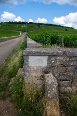 Famous clos vineyards with stone walls near Nuits-Saint-Georges in Burgundy wine region, France