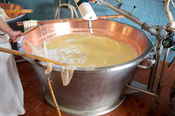 Process of making wheels of parmigiano-reggiano parmesan cheese on small cheese farm in Parma, Italy