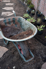 Garden reconstruction works in progress, new plants ready for planting in spring