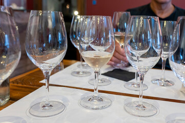 Wine cellars tour with white and red wines tasting in Montepulciano, Tuscany, Italy