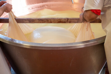 Process of making wheels of parmigiano-reggiano parmesan cheese on small cheese farm in Parma, Italy