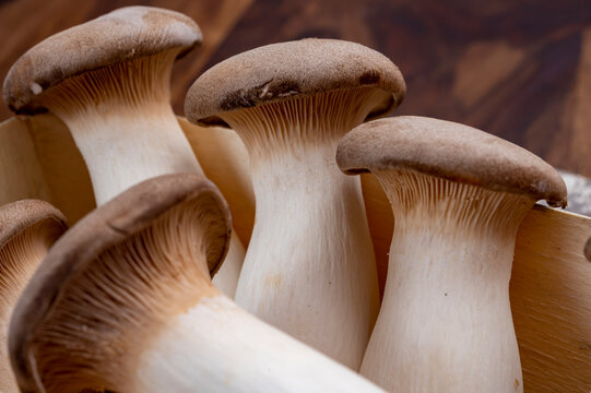 Tasty vegetarian food, fresh organic Pleurotus eryngii king trumpet mushrooms