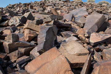 Ancient Bristlecone Pine Forest - Inyo National Forest