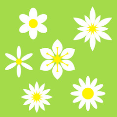 Flower background, white flowers isolated on green, vector illustration.