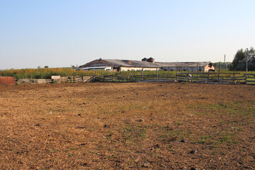 abandoned buildings livestock farms in the Siberian village greenhouses in the field