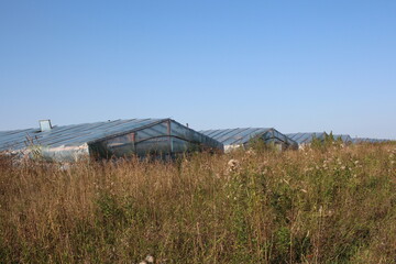 abandoned buildings livestock farms in the Siberian village greenhouses in the field
