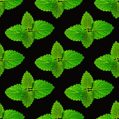 Fototapeta na wymiar Seamless pattern of fresh mint leaves on black background for packaging design. peppermint abstract background.