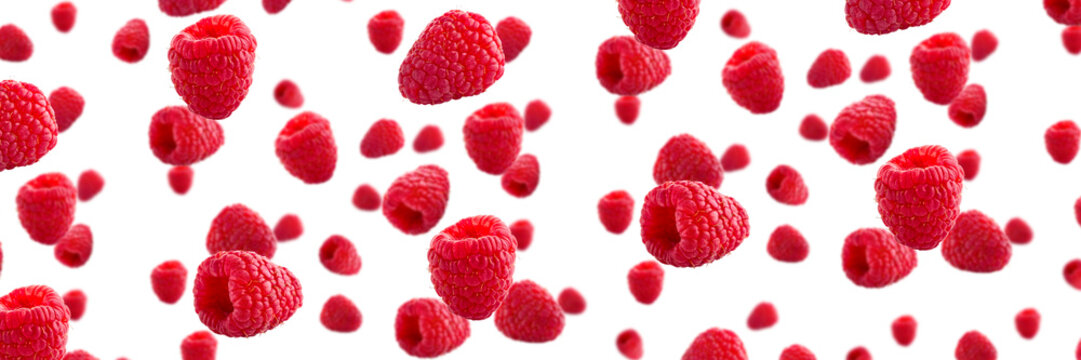 Raspberries abstract background. Fruit pattern of colorful wild berries isolated on white background. Raspberries, blackberry and brumble. Top view. Flat lay banner