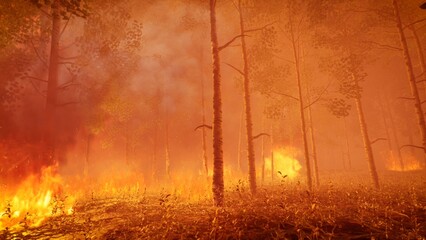 Burning trees in the forest due to wildfire, 3d rendering