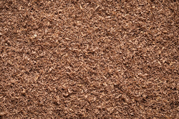 Walnut sawdust layer. Sawdust background.