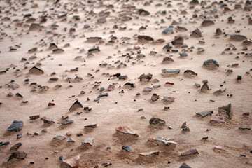 Sharp rocks on a sandy beach
