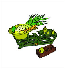 vector illustratiion traditional scales