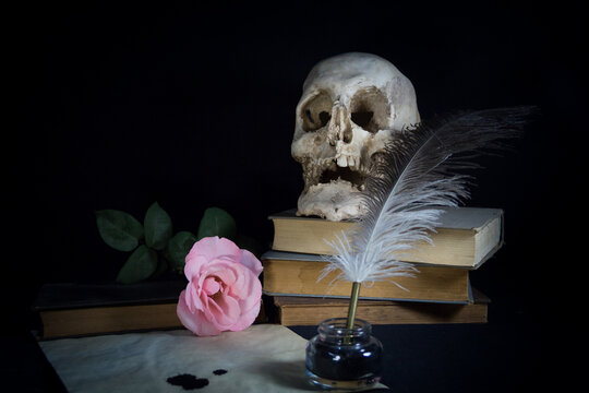 Books, paper, pen, rose and human skull