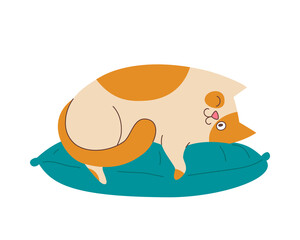 Fat cute spotted cat lies on the pillow. Vector flat illustration, isolated, cartoon, clipart.