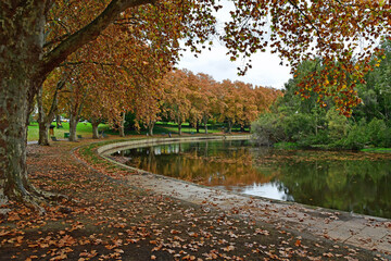 Autumn trees in Hyde Park Perth Western Australia