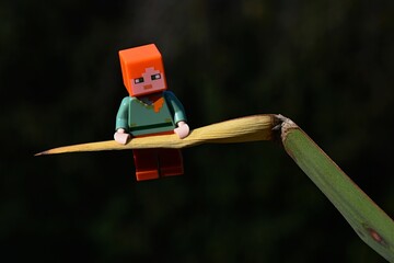 Fototapeta premium LEGO Minecraft figure of Alex traversing on tip of partially dried leaf of Yucca tree, dark background.
