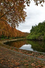 Fototapeta premium Autumn trees in Hyde Park Perth Western Australia