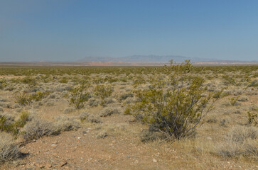 Obraz premium desert on the border of Utah and Arizona near Beaver Dam