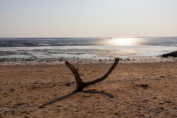 a piece of wood on the beach sand