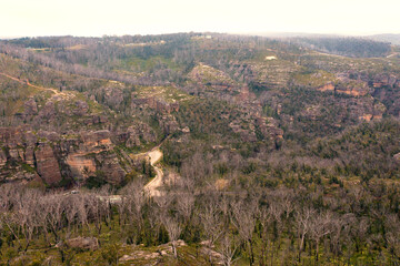 Fototapeta na wymiar Drone aerial photograph of trees affected by severe bushfire in Australia