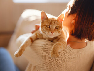 Young asian woman wears warm sweater resting with tabby cat on sofa at home one autumn day. Indoor...