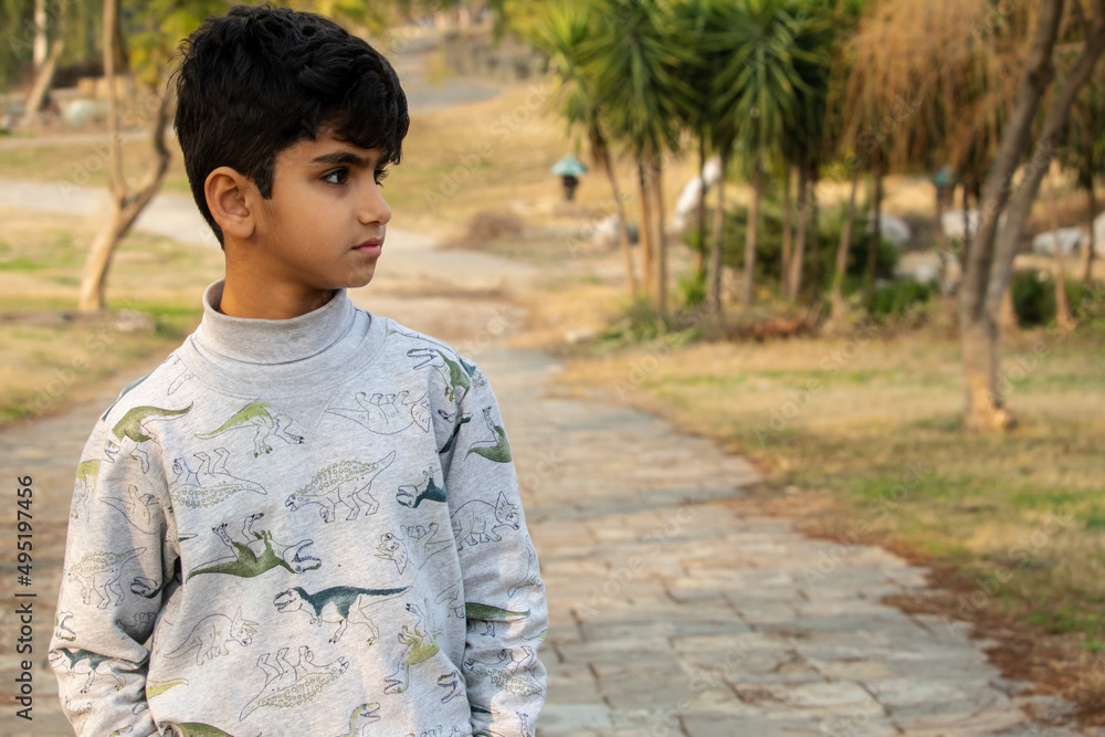 Wall mural A young Pakistani boy in park