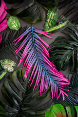 tropical multicolored bright leaves, background and texture, space for text