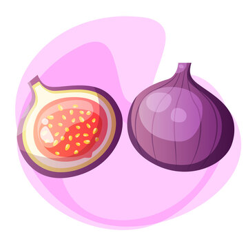 Tropical fruits. Fig
