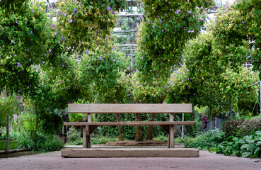 empty bench in the garden