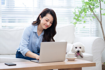Young Asian businesswoman working at home with her dog