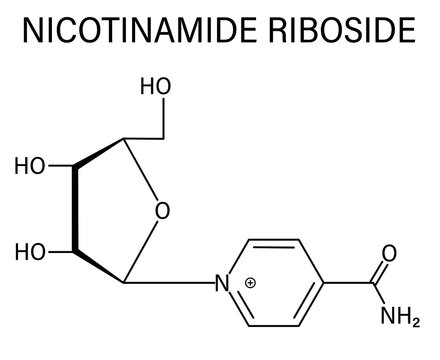 Nicotinamide riboside (NR) molecule. Precursor of nicotinamide adenine dinucleotide (NAD). Skeletal formula.