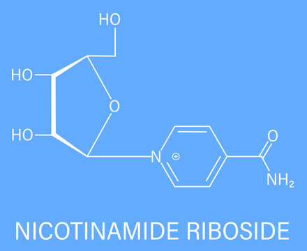 Nicotinamide riboside (NR) molecule. Precursor of nicotinamide adenine dinucleotide (NAD). Skeletal formula.