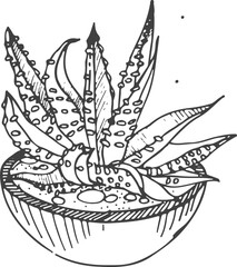 Succulent in Pot Line Art Monochrome Illustration