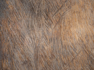 Abstract brown wooden texture background. wallpaper for text.