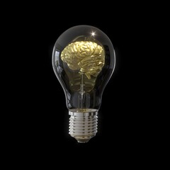 Golden Brain inside Lighting bulb isolate on black background. 3D Render.