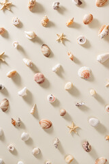Seashells and starfish with shadows on beige pastel background at sunlight. Summer vacation concept. Nautical pattern. Modern flat lay shells, sea stars, stones minimal style design card.