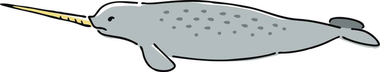 手描き風のイッカクのイラスト © slantwise