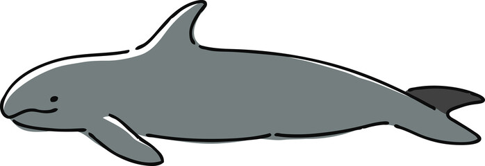 手描き風のゴンドウクジラのイラスト