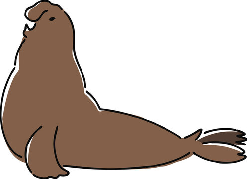 ゾウアザラシ ゾウアザラシ Images – Browse 24 Stock Photos, Vectors, and Video