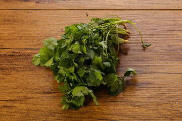 Fresh green Coriander leaves heap