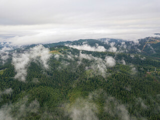 Green slopes of Ukrainian Carpathian mountains in summer. Cloudy morning, low clouds. Aerial drone view.