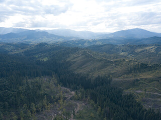 Green mountains of Ukrainian Carpathians in summer. Coniferous trees on the slopes. Aerial drone view.