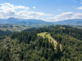 Obraz premium Green mountains of Ukrainian Carpathians in summer. Coniferous trees on the slopes. Aerial drone view.